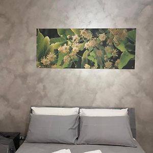 B&B Sulviale